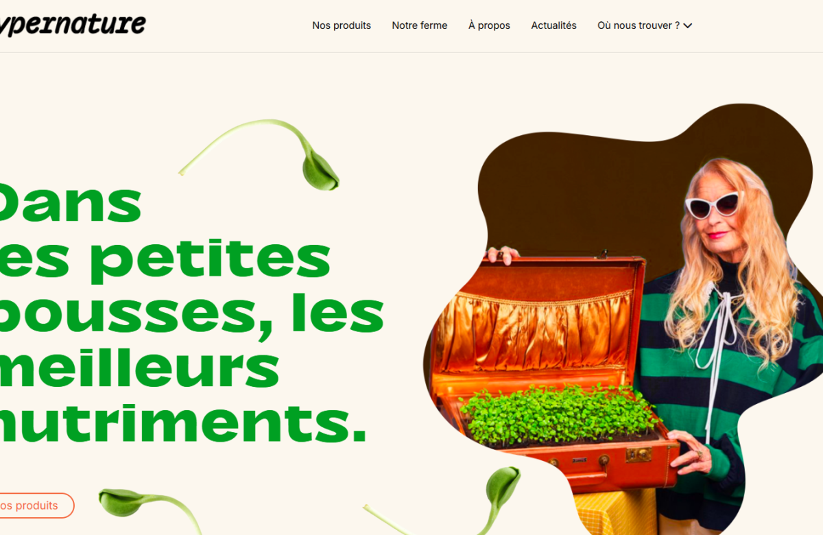 Lancement officiel du site web !